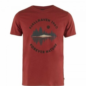 Camiseta Fjallraven Kanken Forest Mirror Hombre Rojos | NOMKTUR-16