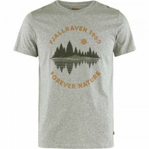 Camiseta Fjallraven Kanken Forest Mirror Hombre Grises | URIDVNL-95